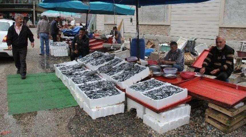 Hamside Bayram Fiyatı