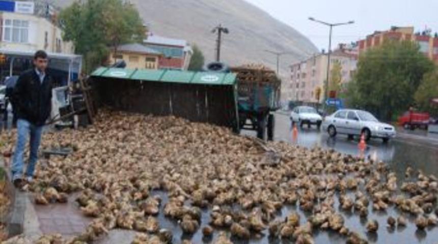 Pancar Y&uuml;kl&uuml; R&ouml;mork Devrildi, S&uuml;r&uuml;c&uuml; Yaralandı
