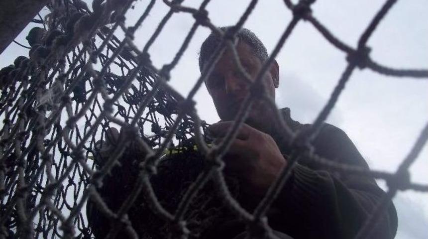 Balık&ccedil;ılar Bakanlığı Kurulsun Talebi