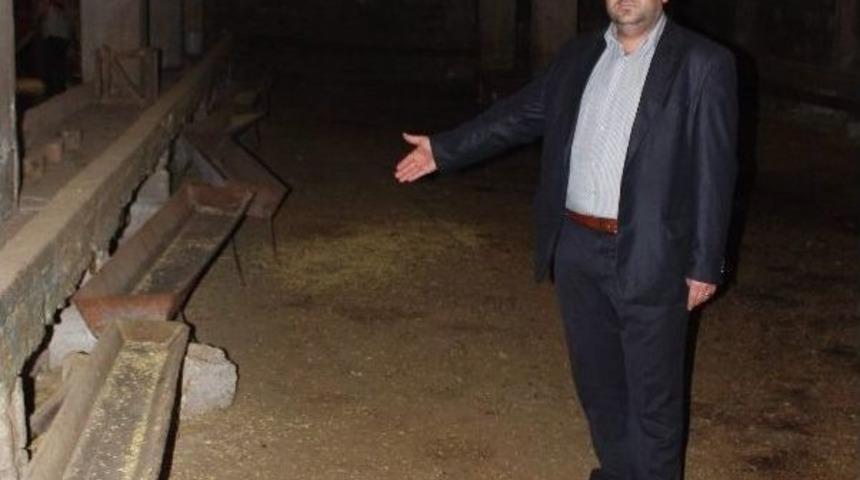 Gaziantep'te 20 Koyun &Ccedil;alındı