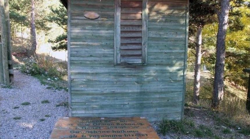 G&uuml;m&uuml;şhane Kent Ormanında &Uuml;z&uuml;c&uuml; G&ouml;r&uuml;nt&uuml;ler