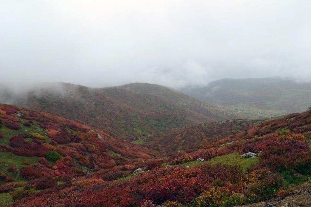 &Ccedil;ambaşı Yaylası'na Arap İlgisi