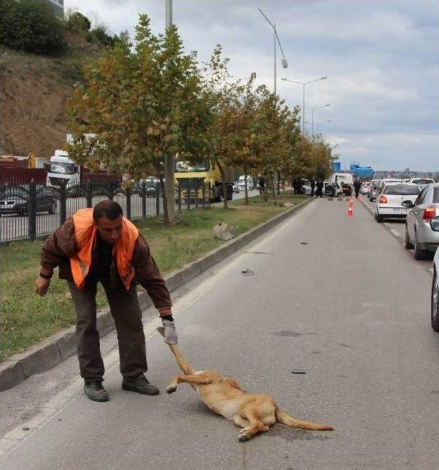Samsun&rsquo;da Trafik Kazası: 5 Yaralı 1
