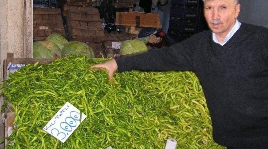 Domotes, Biber Ve Salatalık Aldı Başını Gitti