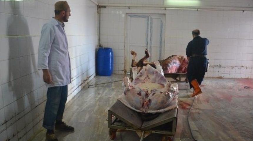 &Ccedil;erkezk&ouml;y'de 95 Kurbanlık &Uuml;cretsiz Kesildi