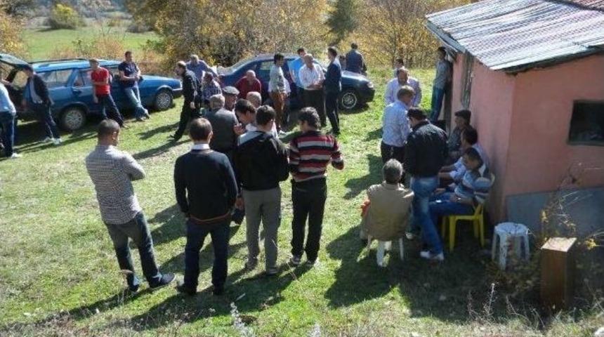 Gurbetciler D&ouml;n&uuml;yor