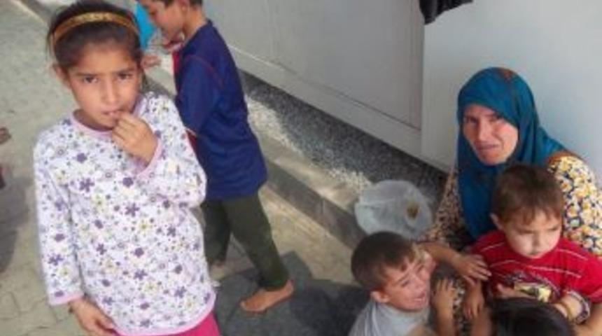 Suriyeli M&uuml;ltecilere 6.5 Ton Kurbanlık Et Bağışı Yapıldı