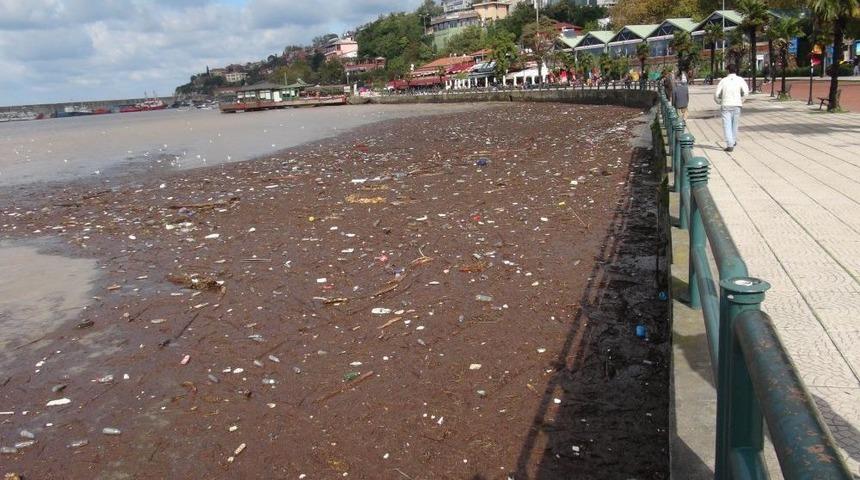 &Ccedil;amura Bulanan Karadeniz, &Ccedil;&ouml;p Denizi Oldu