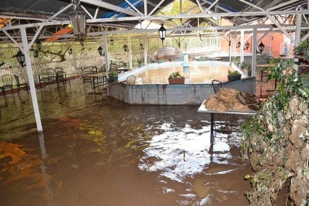 Zonguldak&rsquo;ta 50 Bin Alabalık Taşkında Telef Oldu