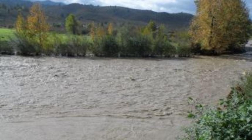 Alaplı &Ccedil;ayı taştı ara&ccedil;lar mahsur kaldı