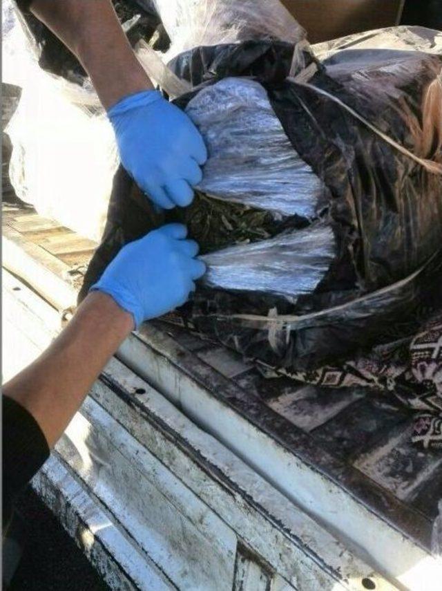 &Ccedil;eyiz sandığında esrar sevkiyatı 1