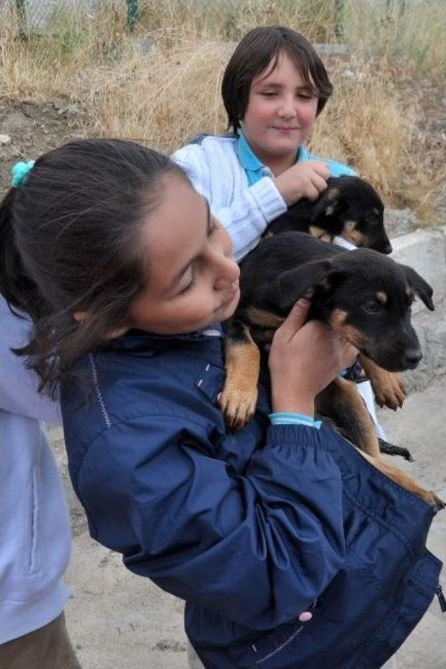Kafesler Ardındaki Mutluluk 1