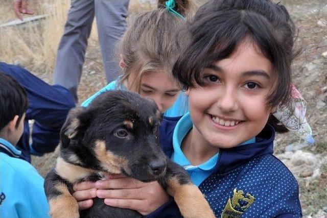 Kafesler Ardındaki Mutluluk 2