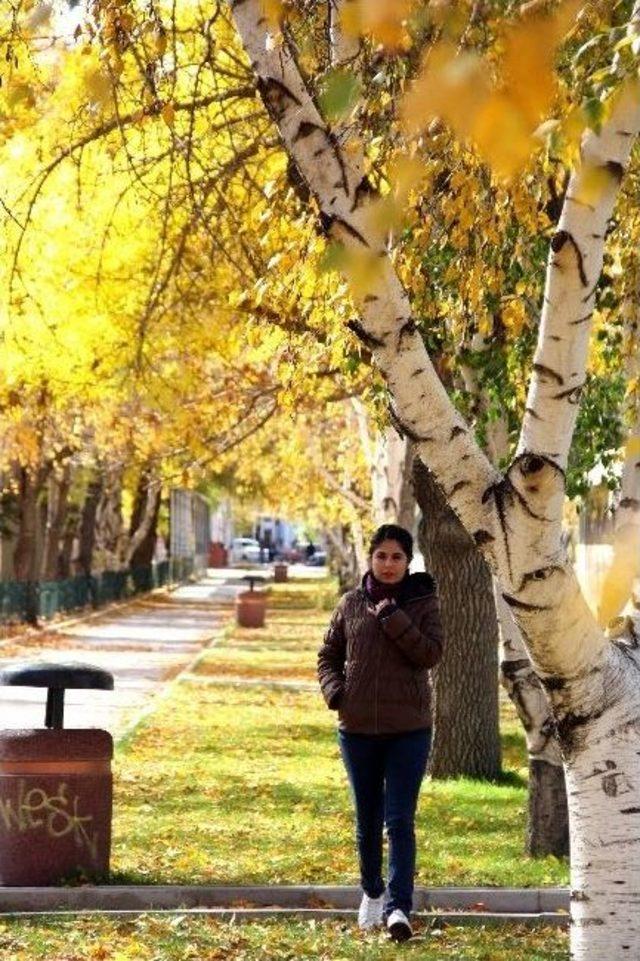 Erzurum'da Sonbahar