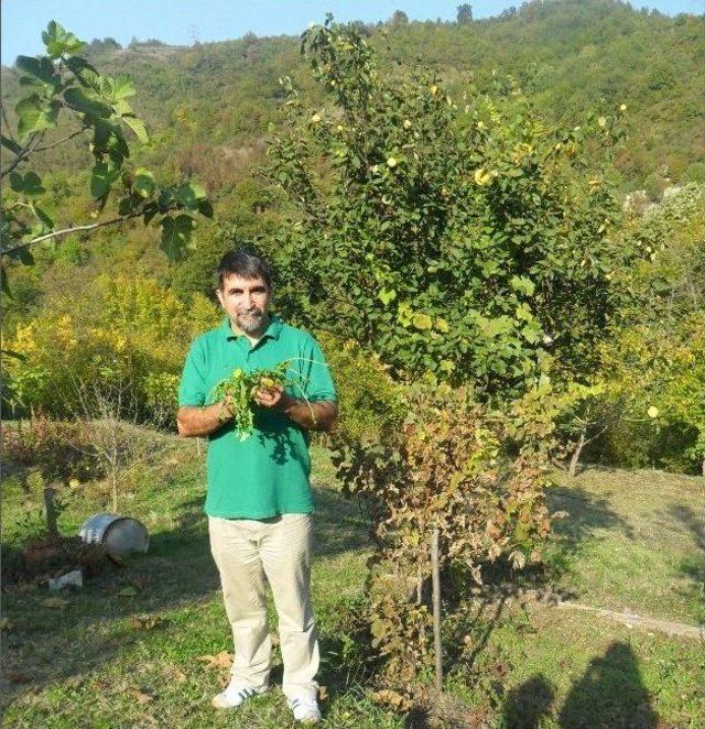 Uzun Yaşamanın Sırrı Kurbanda Saklı 2