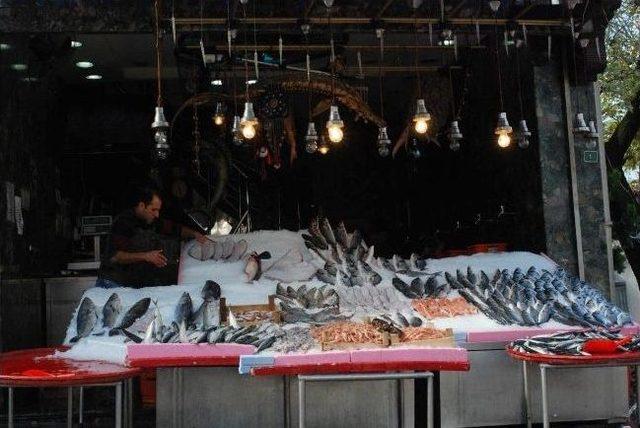 Balık&ccedil;ıların Y&uuml;z&uuml; G&uuml;l&uuml;yor 1