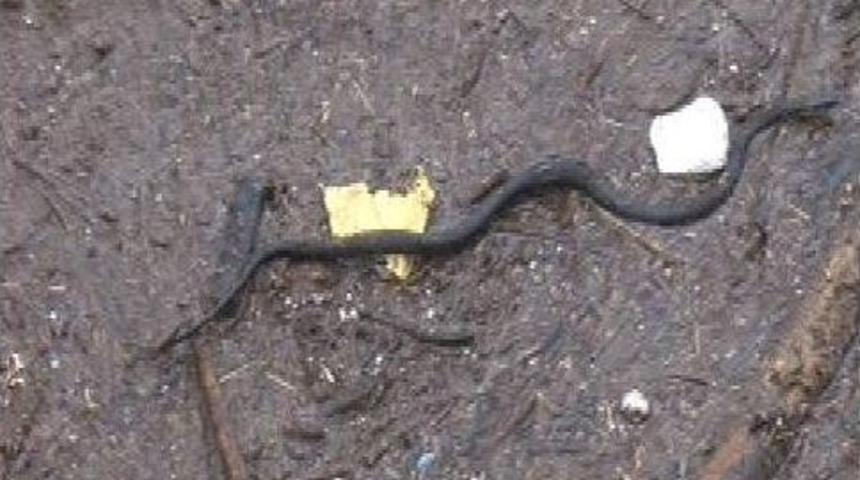 Y&uuml;kselen Dere Suları &Ouml;n&uuml;ne Gelen Her Şeyi Limana S&uuml;r&uuml;kledi