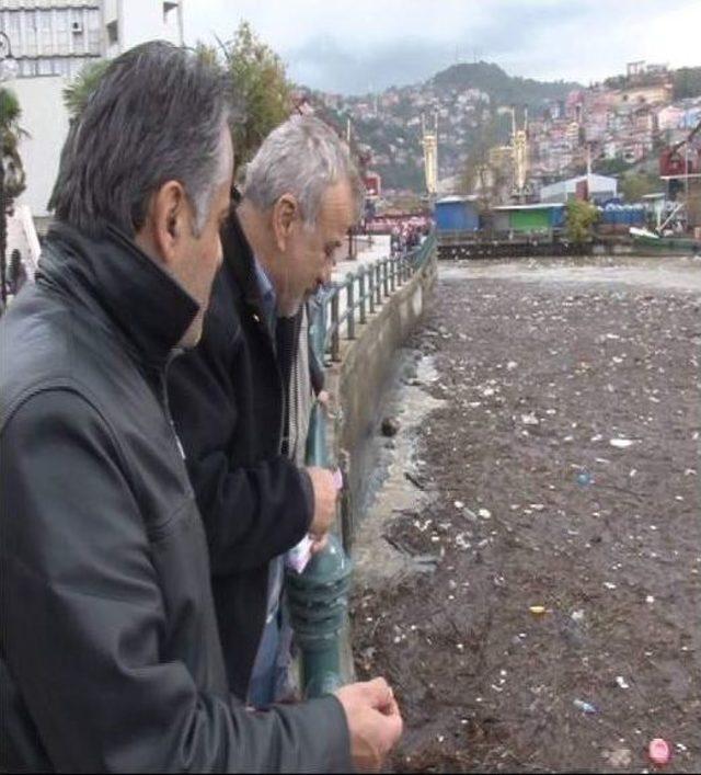 Yükselen Dere Suları Önüne Gelen Her Şeyi Limana Sürükledi