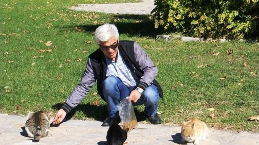 Sokak Hayvanlarının Kul&uuml;besini &Ccedil;aldılar
