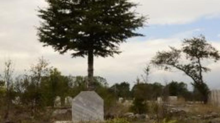 145 K&ouml;y Mezarlığına 45 Bin Fidan Dikilecek