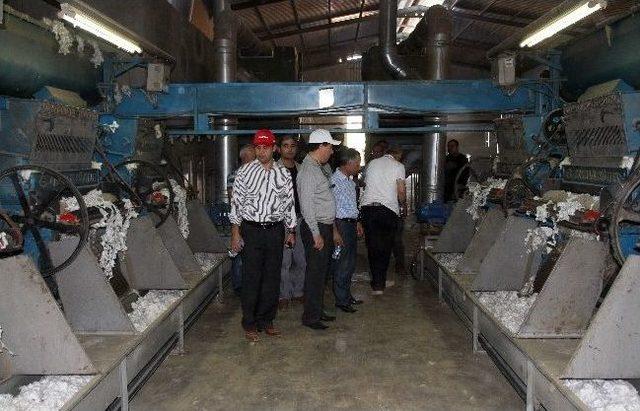 Mardin Valisi Cengiz Çiftçileri Ziyaret Etti 1