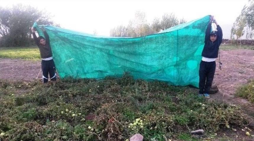 Havalar Soğuyunca Sebze Bah&ccedil;eleri Naylonla Poşetlerle Kapatıldı