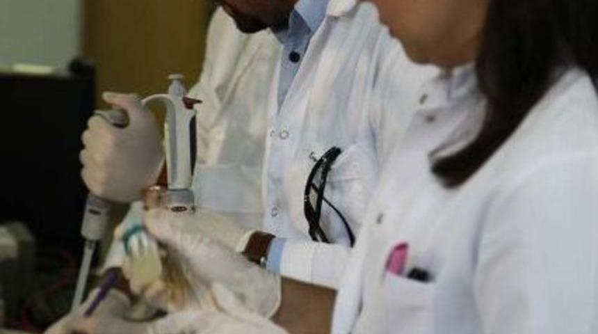 Bakteriden Enerji &Uuml;retildi