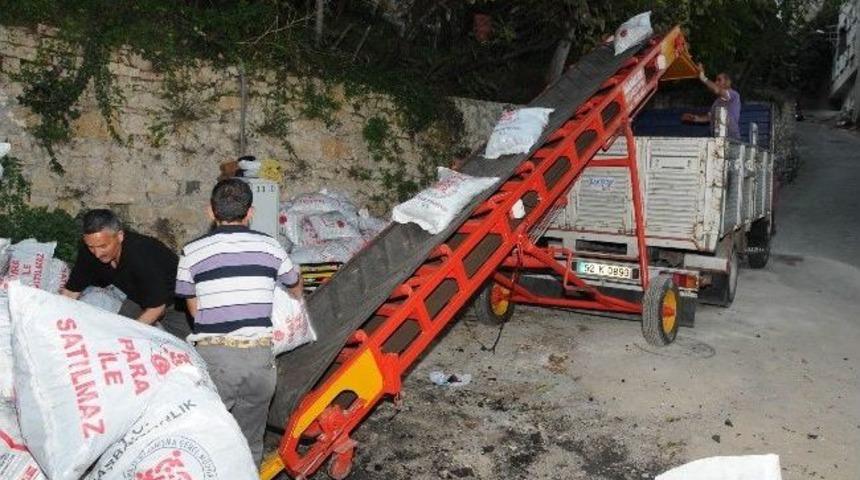 Ordu&rsquo;da 6 Bin 667 Aileye K&ouml;m&uuml;r Yardımı