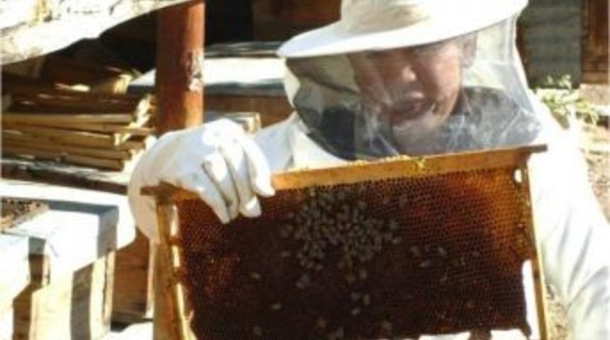 Bal Ormanı, Y&ouml;re Ekonomisine B&uuml;y&uuml;k Katkı Sağlıyor