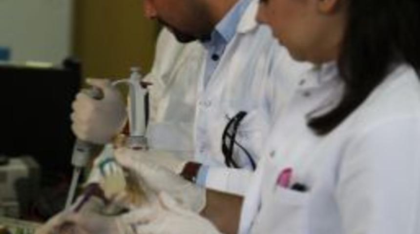 Yıldız Teknik &Uuml;niversitesi, Bakteriden Elektrik &Uuml;retti