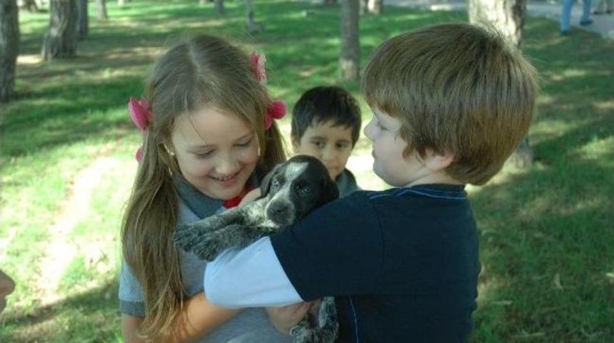 Minikler Hayvan Barınağı&rsquo;nı Gezdi