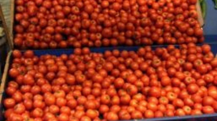 Motorin 4.40 - Domates 4.29