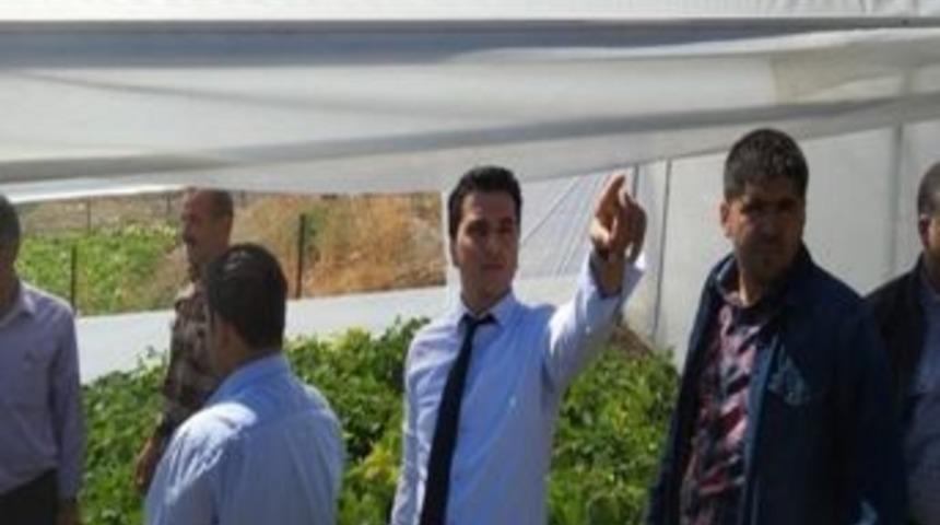 Kaymakam K&ouml;yl&uuml;leri Seracılığa Teşvik Etti