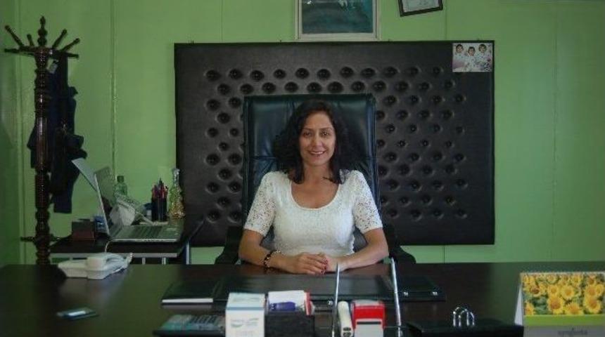 Armut Yetiştiriciliği Projesi Başlıyor