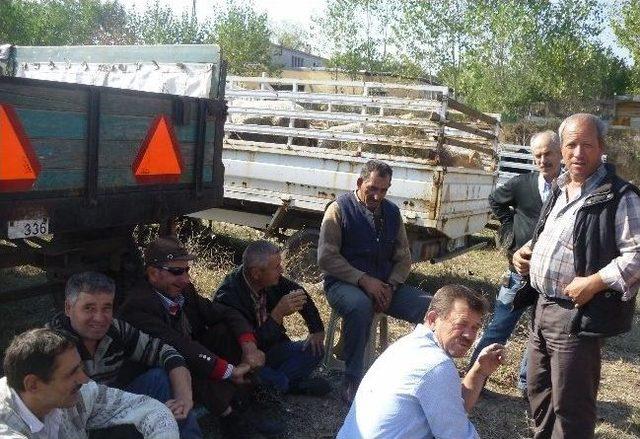 Kurban Satıcıları Memnun Değil 1