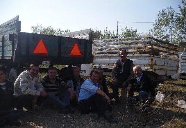 Kurban Satıcıları Memnun Değil 2