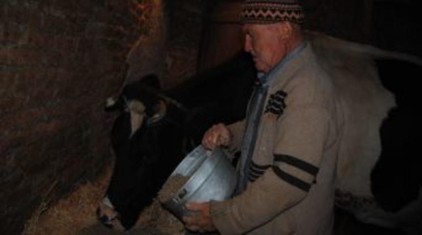 Besici, S&uuml;t Yeminde De Fiyatın D&uuml;şmesini Bekliyor