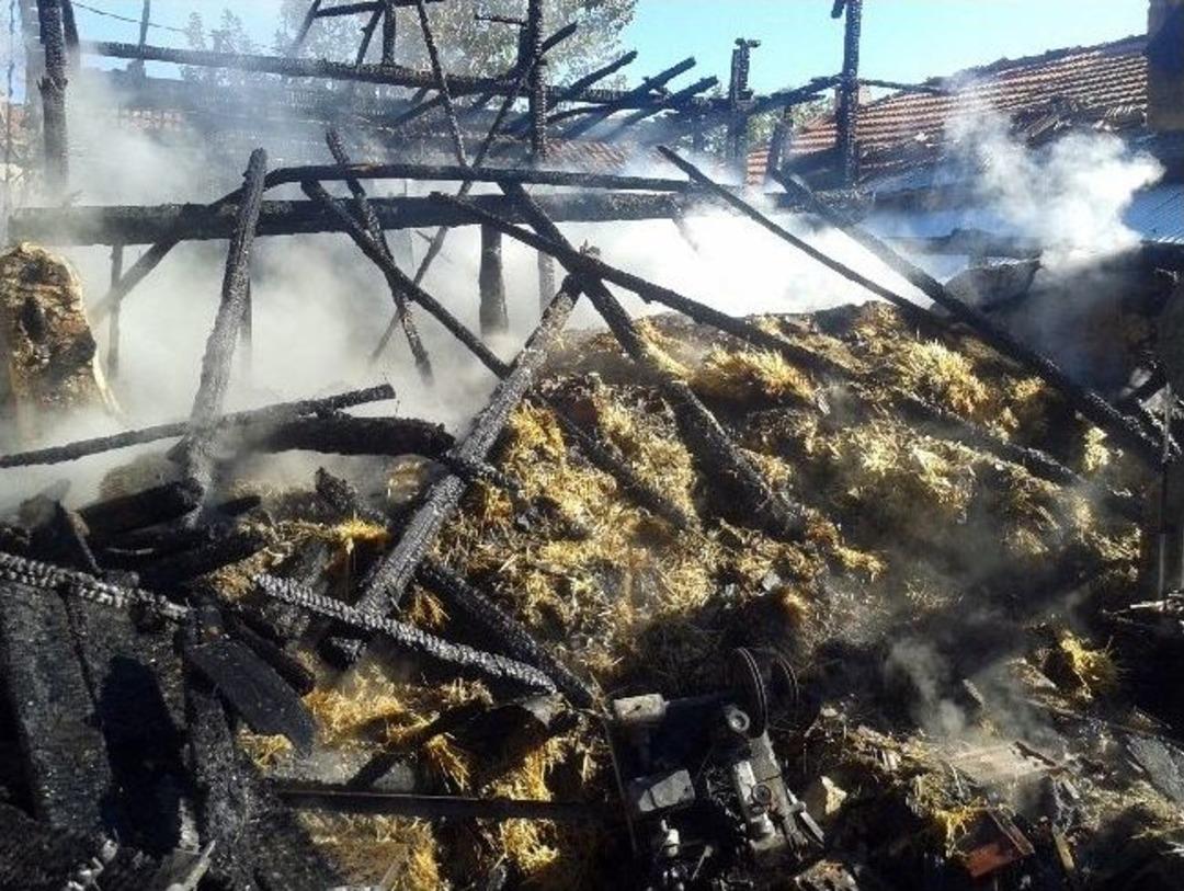 Sakarya'da Facianın Eşiğinden D&ouml;n&uuml;ld&uuml;