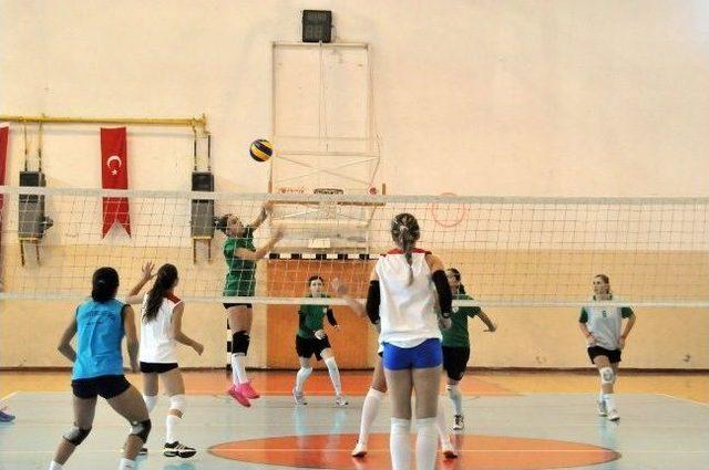 Dişi Timsahlar Yalova’da Set Vermedi