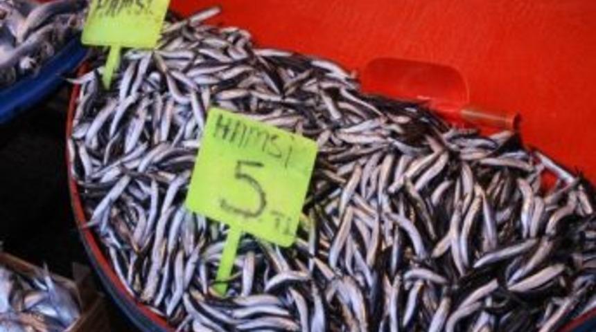 Hamsi 5 Liraya D&uuml;şt&uuml;