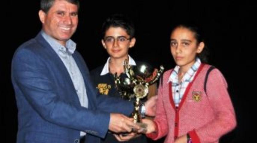 Diyarbakır Satran&ccedil; Ve Damaya Doydu