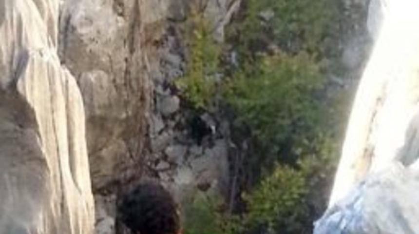 Kayıp &Ccedil;oban &Ouml;l&uuml; Bulundu