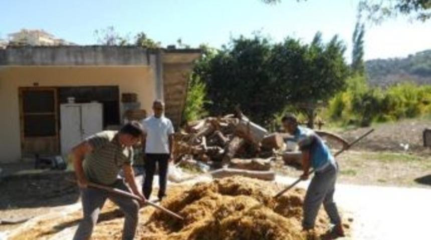Dalaman&rsquo;da Kayın Mantarı &Uuml;retimine Başlandı
