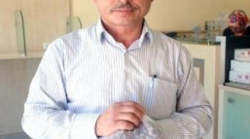 G&uuml;ce&rsquo;de Fındık Tanıtım Seferberliği Başlatıldı