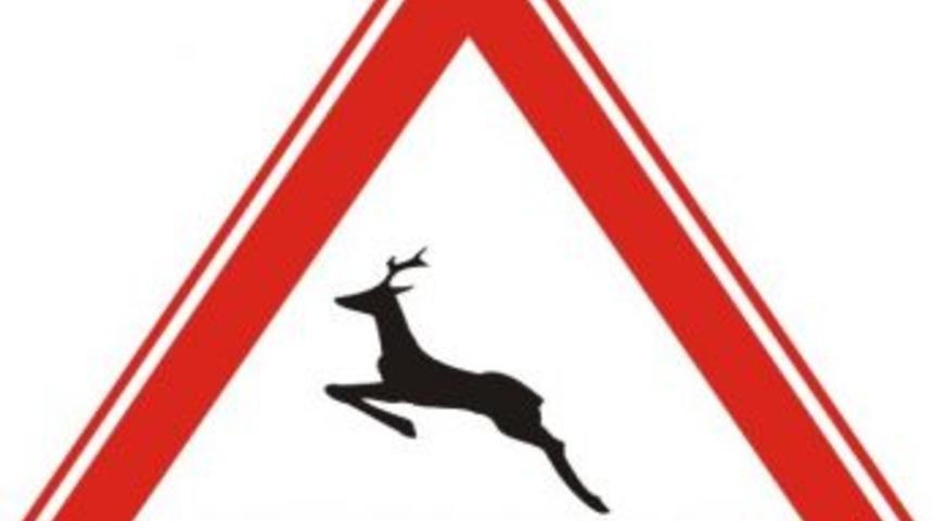 Demiryolundan Yabani Hayvan Ge&ccedil;işleri Korumaya Alındı