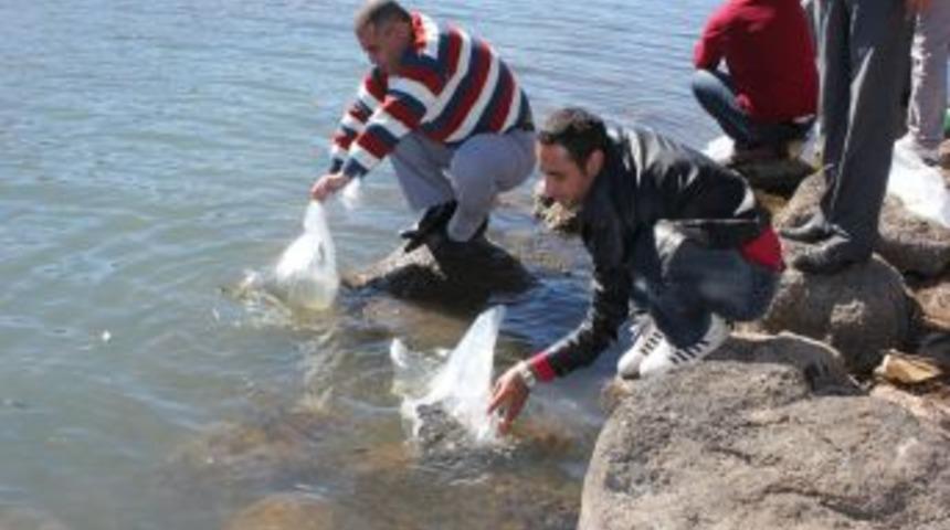 Hamurpet G&ouml;l&uuml;'ne 15 Bin Sazan Yavrusu Bırakıldı