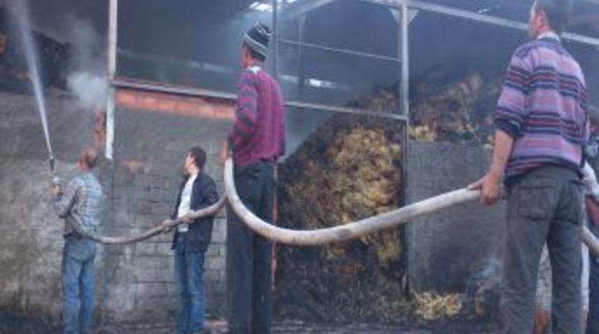 &Ccedil;orum'da 144 Ineğin Bulunduğu Mandıra Yandı