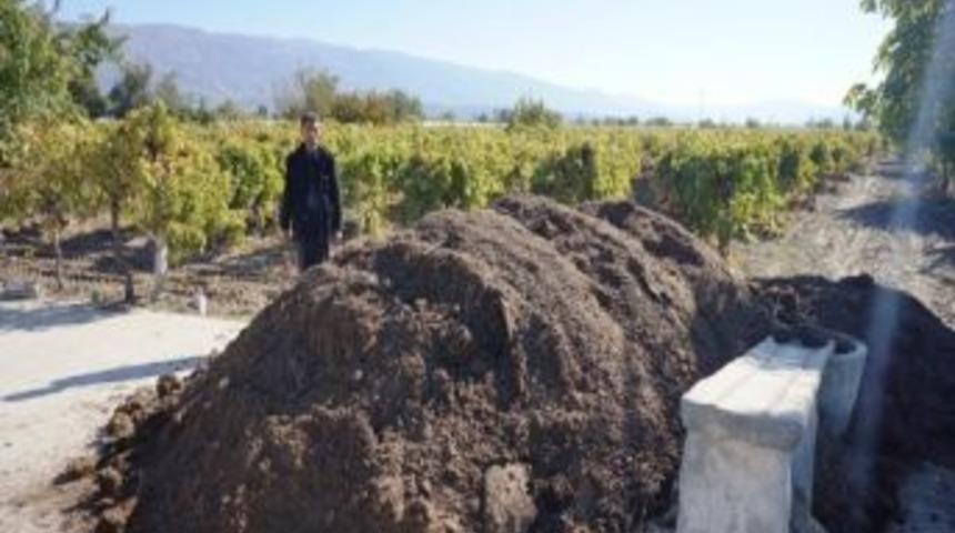 Sarıg&ouml;l'de &Uuml;z&uuml;m Bağlarına Doğal G&uuml;bre Dopingi