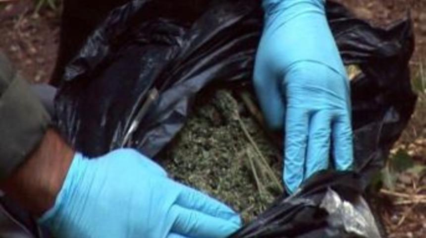 (&ouml;zel Haber) Marmaris&rsquo;te Sekiz Kilo Esrar Ele Ge&ccedil;irildi