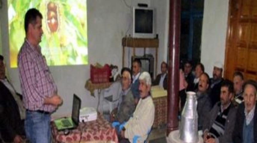 Kestane &Uuml;reticisine Kestane İ&ccedil; Kutları İ&ccedil;in &Uuml;cretsiz İla&ccedil; Dağıtıldı